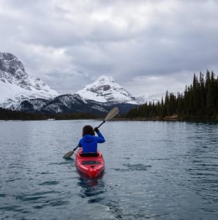 Domestic and International trips